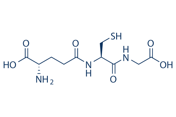 Glutathione Molecula